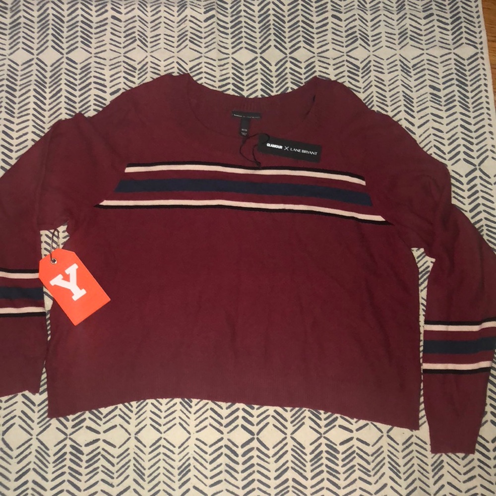 NWT🍓Limited Glamour Striped Sweater